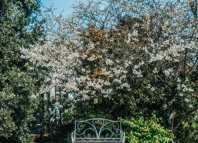 Le Titibu, Et Entre Ardeche Et Provence, Clim, Bbq, Netflix, Classe 5 Etoiles 아파트